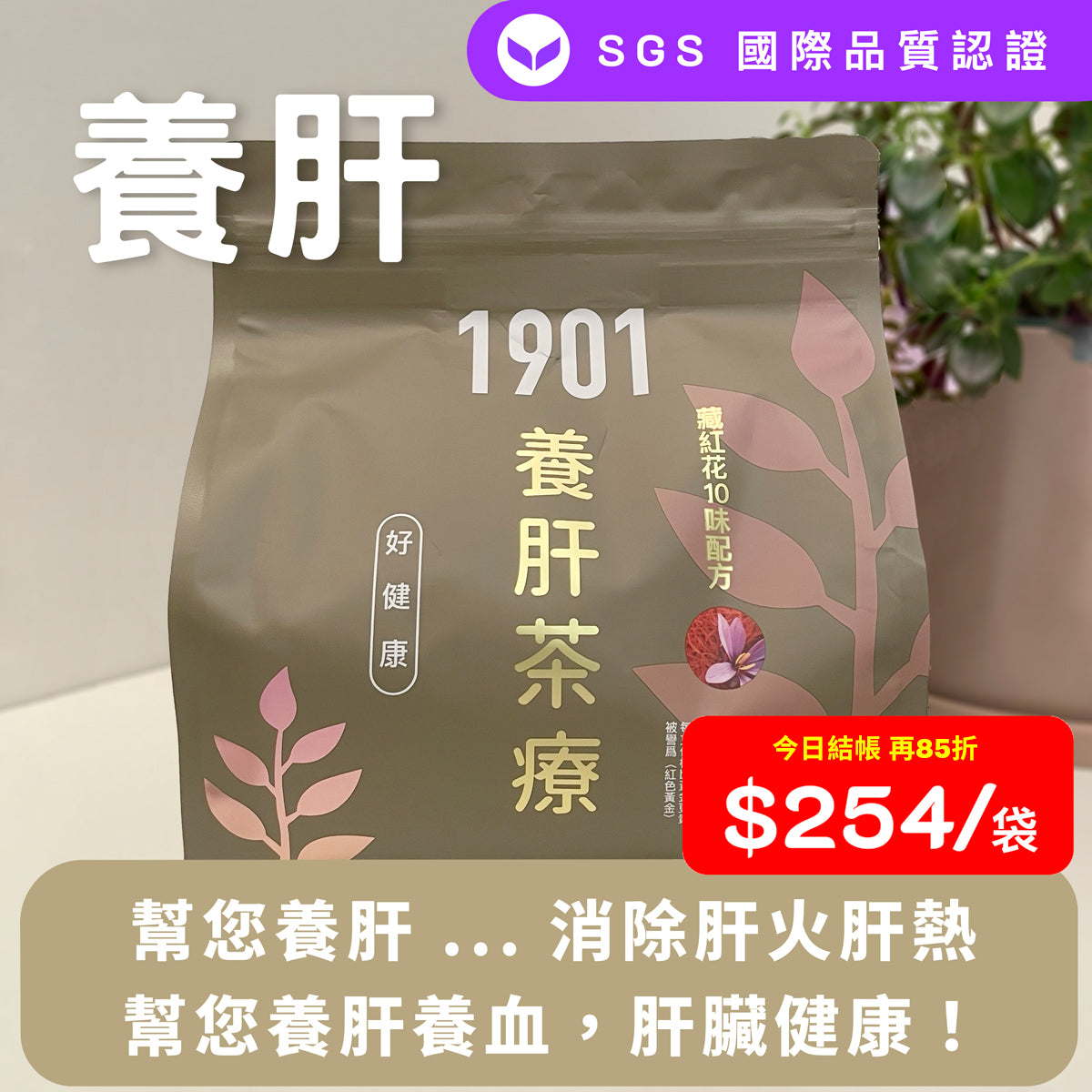 PAKA【養肝茶療】養肝護肝 . 消除肝火肝熱