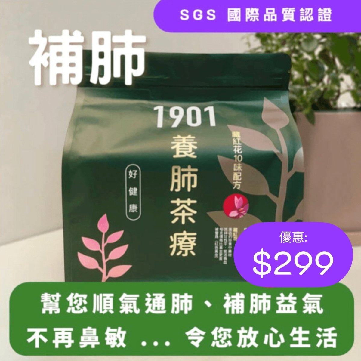【養肺茶療】 - PAKA