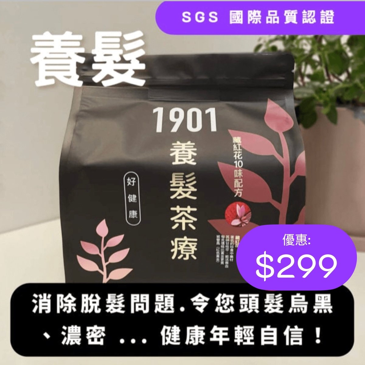 【養髮茶療】 - PAKA